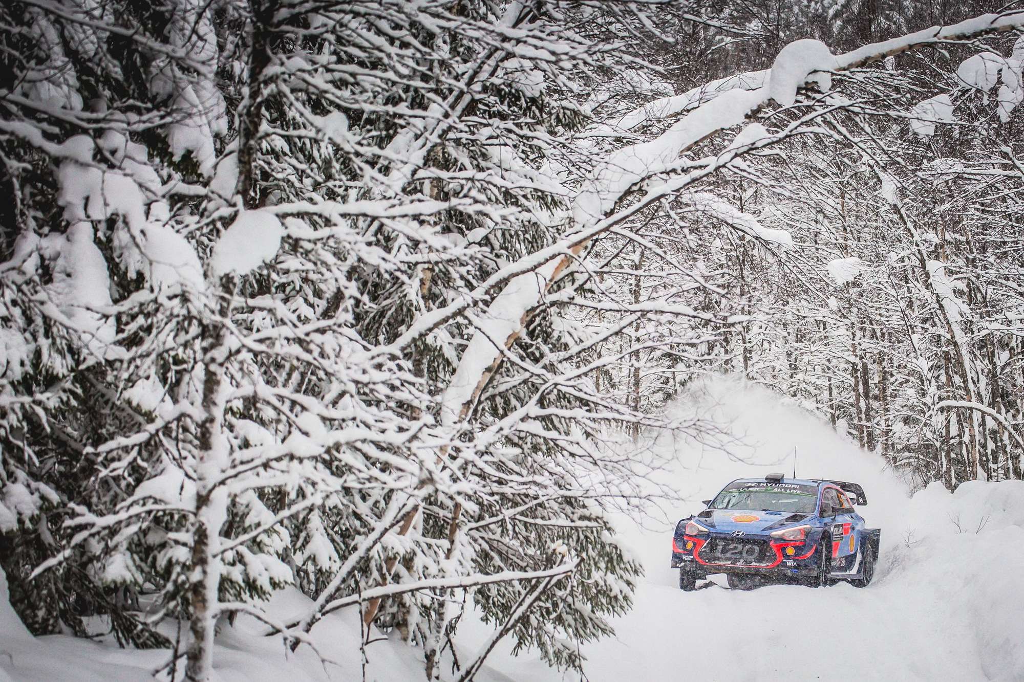 Sezonun Tek Kar Rallisi İsveç’te Neuville Zirvede Yer Aldı