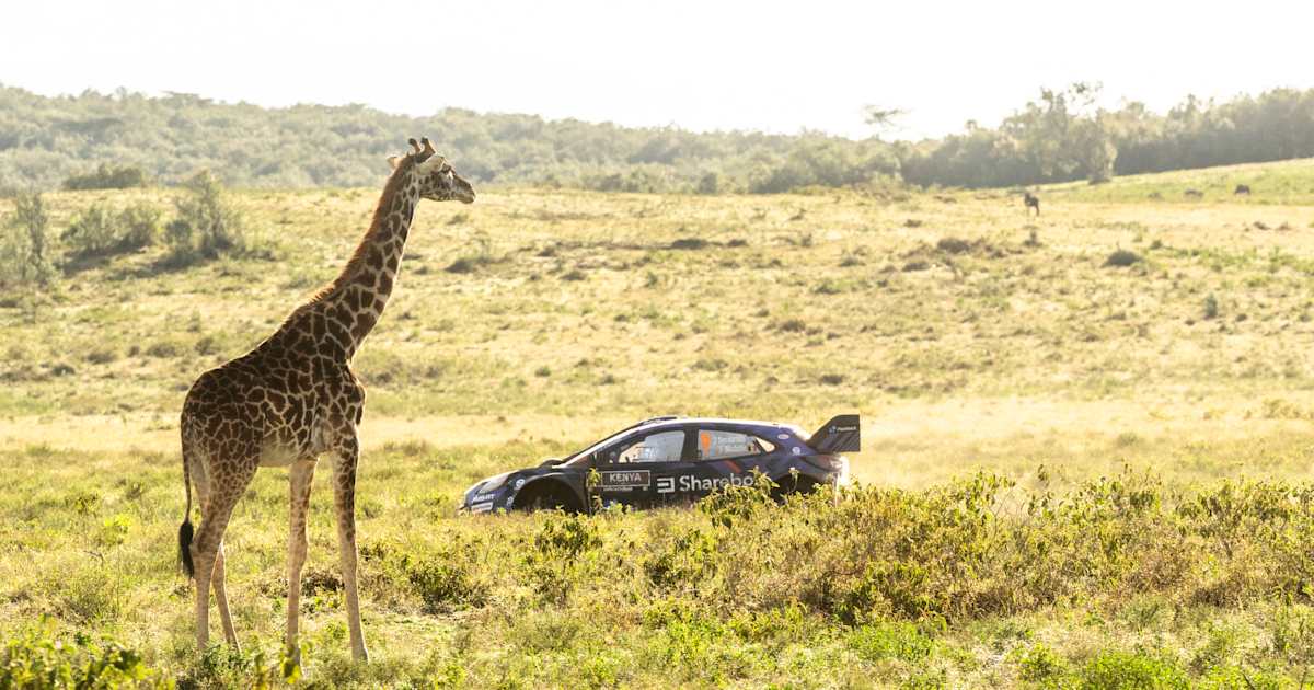 Safari Heyecanı Başlıyor